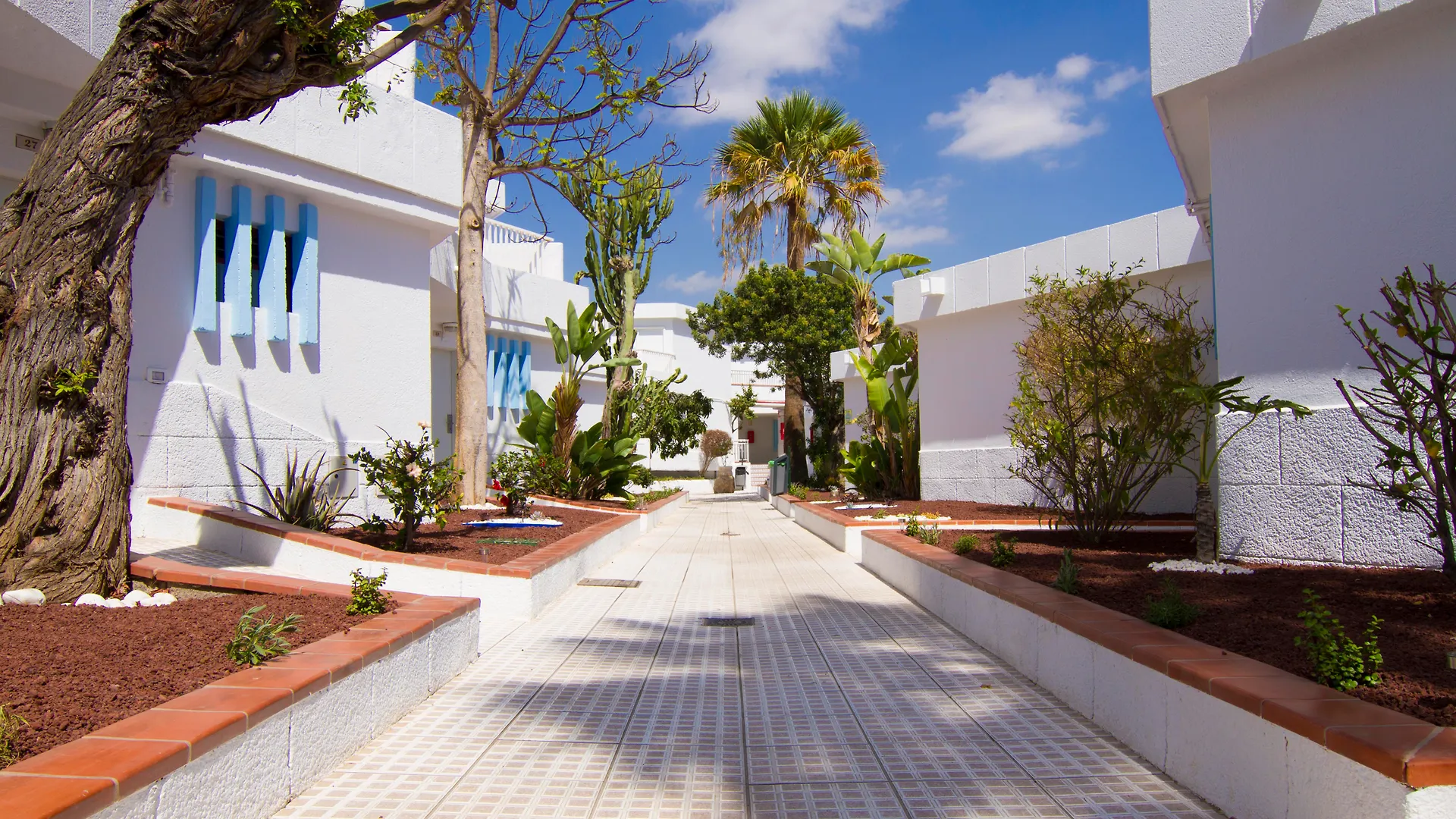 Checkin Bungalows Atlantida Лос Кристианос 3*,  Испания
